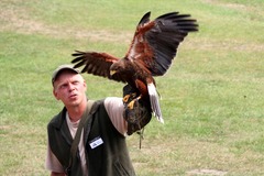 Killikus&reg; Fotographie